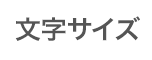 文字サイズ