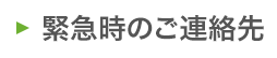 緊急時のご連絡先