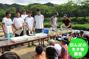田んぼの生き物調査