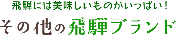 その他の飛騨ブランド