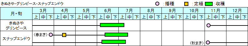 きぬさや・グリンピース・スナップエンドウ